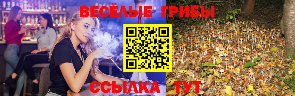 Галлюциногенные грибы мицелий  Вход с VPN  Нефтеюганск 
