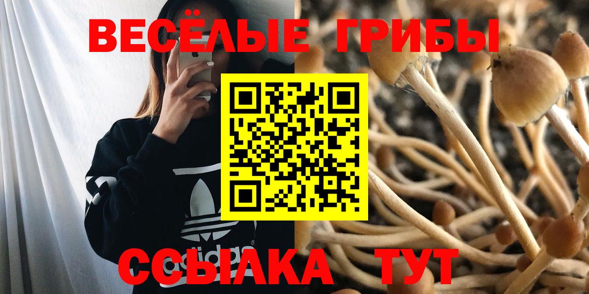 Псилоцибиновые грибы Magic Shrooms Нефтеюганск